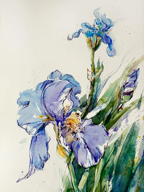Tuscan Iris